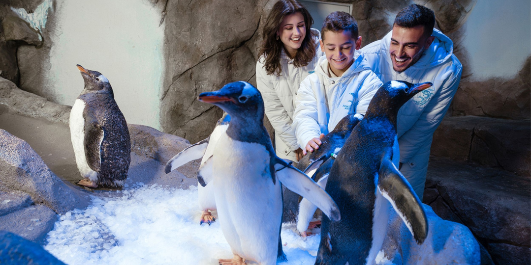 Dubai Aquarium & Underwater Zoo