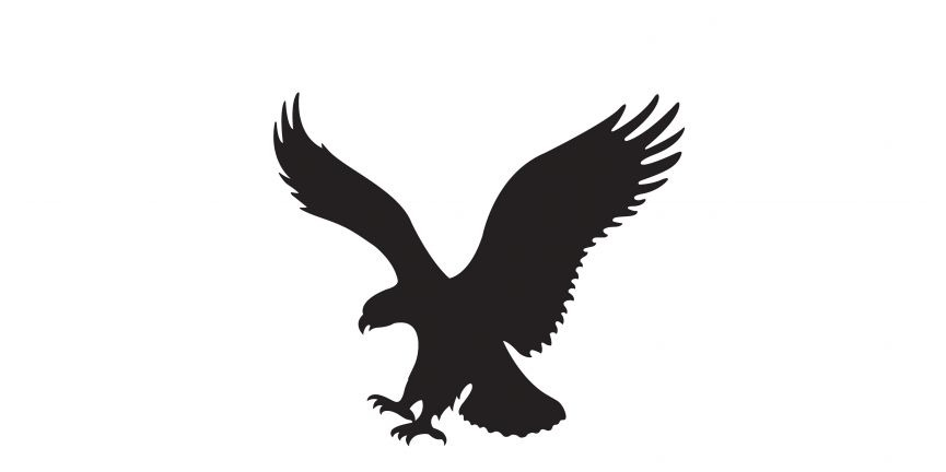 American Eagle