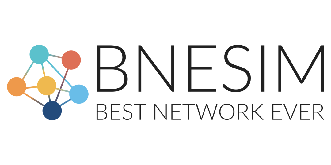 BNESIM