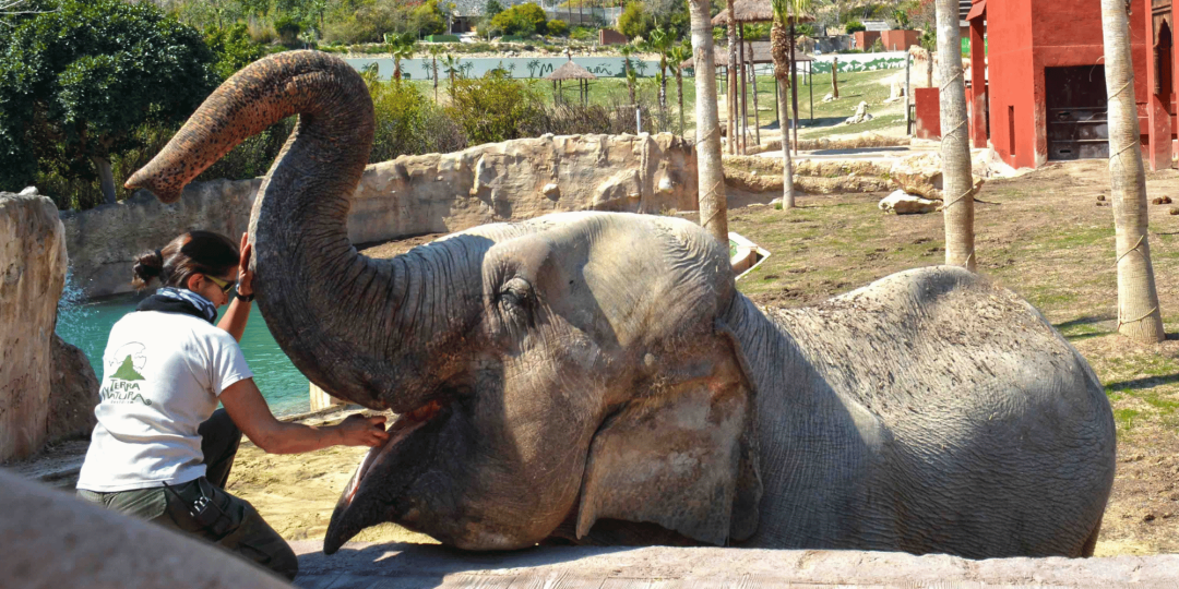 Terra Natura Benidorm y Murcia