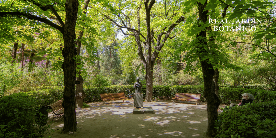 Real Jardín Botánico de Madrid