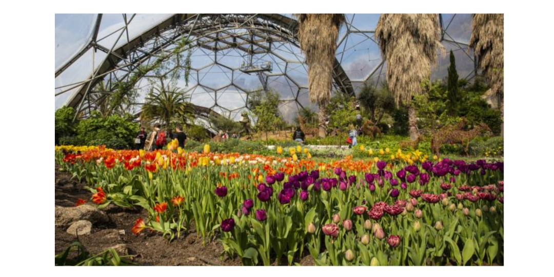 The Eden Project