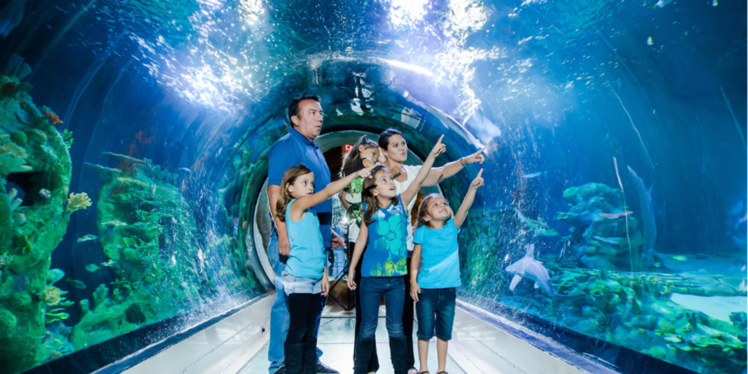 Sea Life London Aquarium