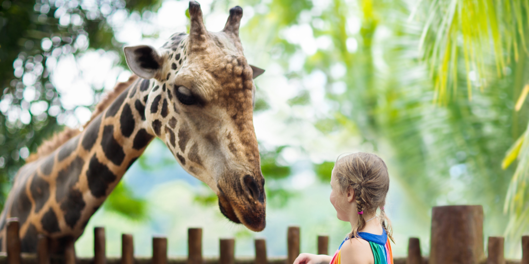 Gdański Ogród Zoologiczny